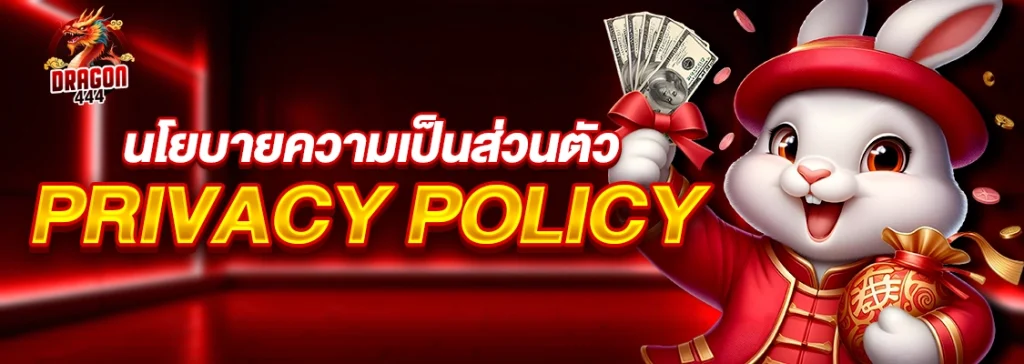 นโยบายความเป็นส่วนตัว